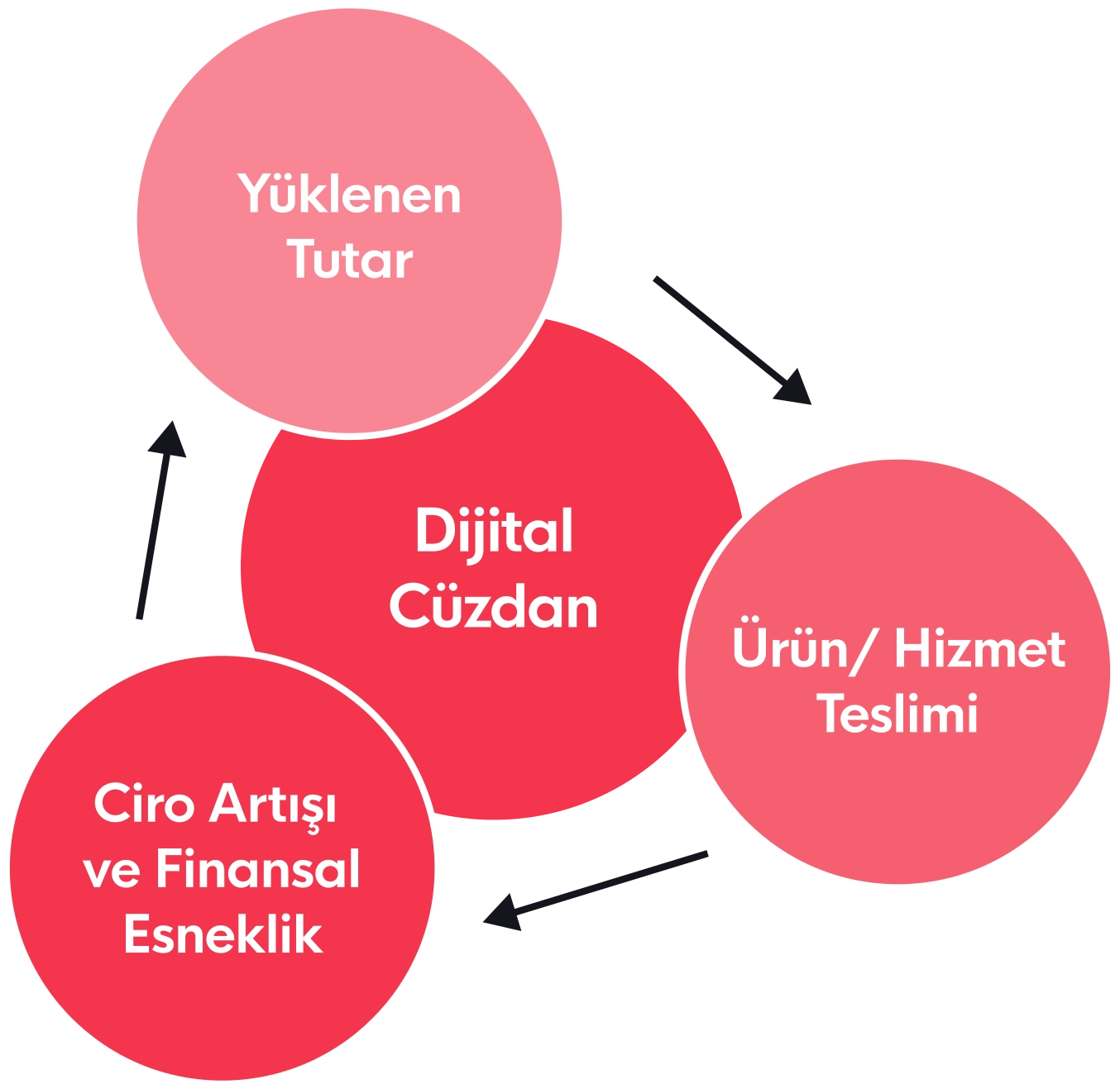 Nakit Akışı Artışı